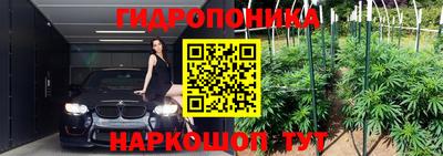 прущие крисы Гусиноозёрск